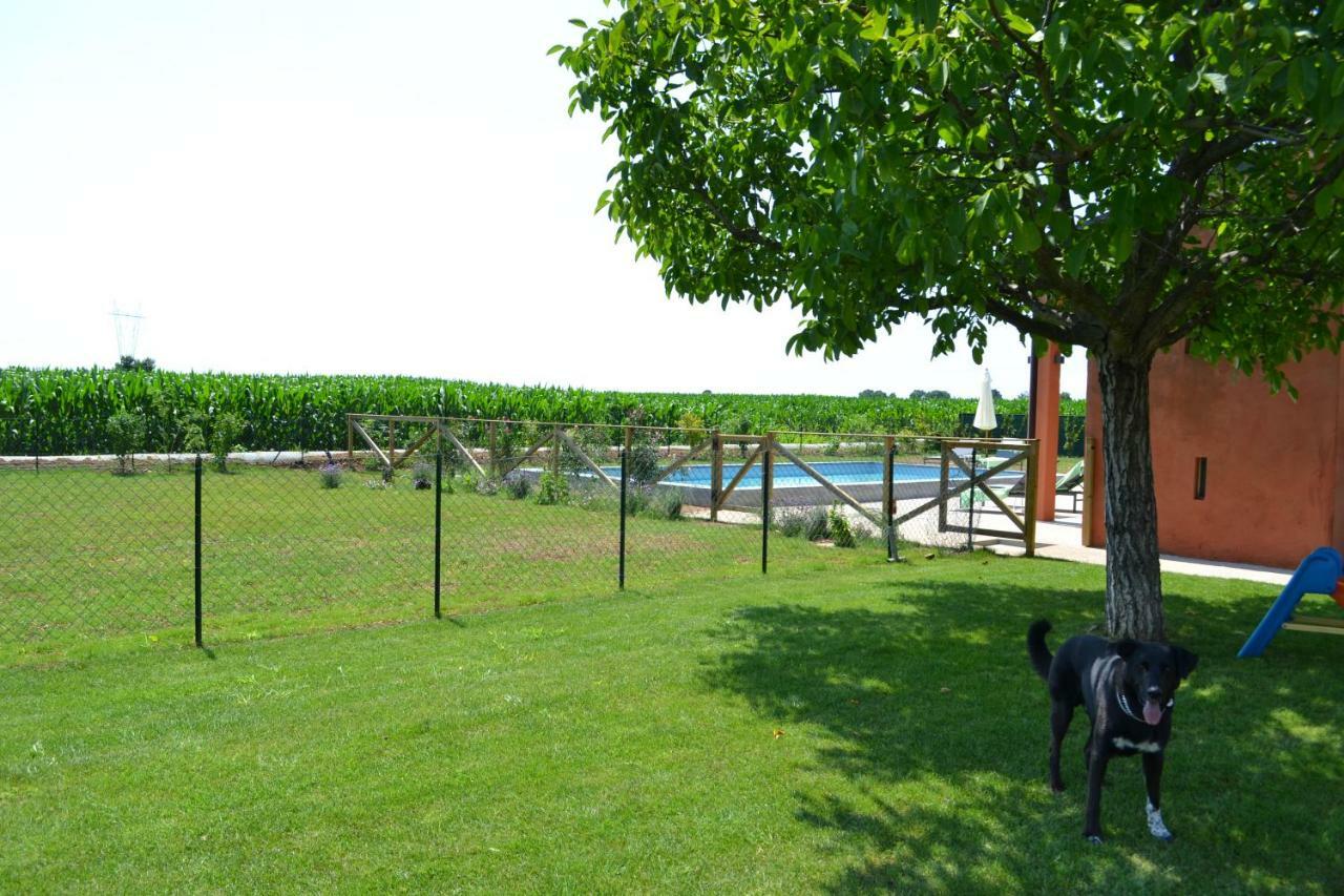 Corte Reginella Vakantieboerderij Roverbella